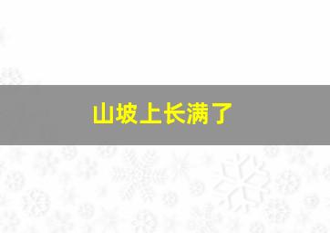 山坡上长满了