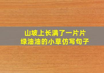 山坡上长满了一片片绿油油的小草仿写句子