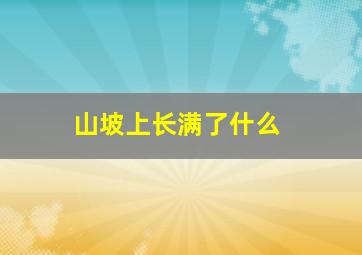 山坡上长满了什么