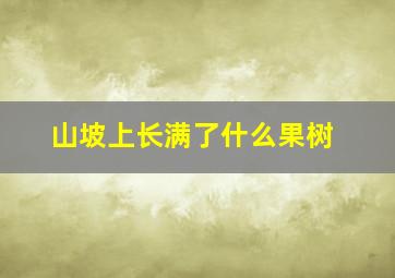 山坡上长满了什么果树