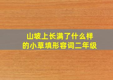 山坡上长满了什么样的小草填形容词二年级