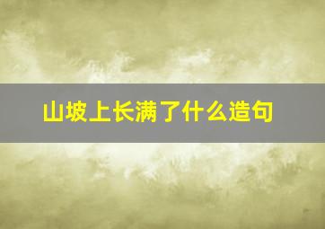 山坡上长满了什么造句