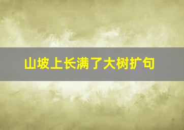 山坡上长满了大树扩句