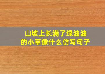 山坡上长满了绿油油的小草像什么仿写句子