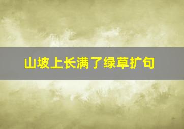 山坡上长满了绿草扩句