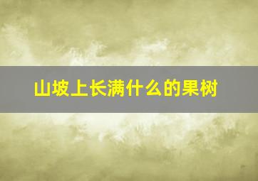 山坡上长满什么的果树