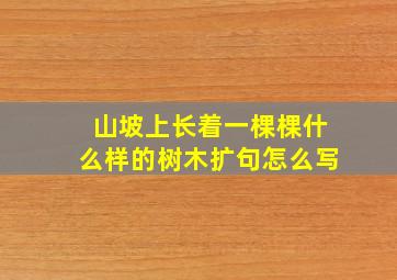 山坡上长着一棵棵什么样的树木扩句怎么写