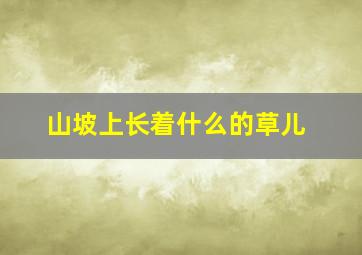 山坡上长着什么的草儿