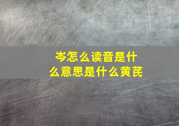 岑怎么读音是什么意思是什么黄芪