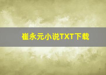 崔永元小说TXT下载