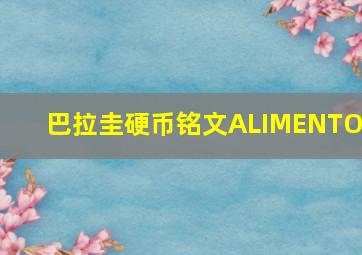 巴拉圭硬币铭文ALIMENTOS