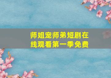 师姐宠师弟短剧在线观看第一季免费