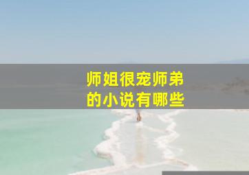 师姐很宠师弟的小说有哪些