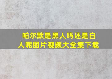 帕尔默是黑人吗还是白人呢图片视频大全集下载