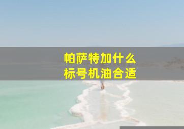 帕萨特加什么标号机油合适