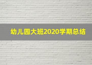 幼儿园大班2020学期总结