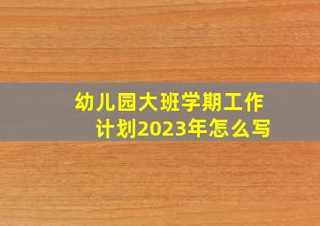 幼儿园大班学期工作计划2023年怎么写