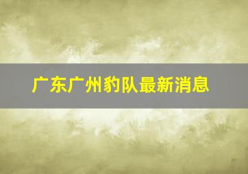 广东广州豹队最新消息