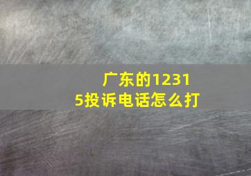 广东的12315投诉电话怎么打