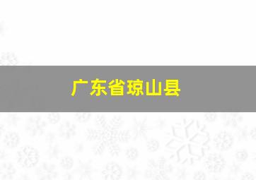 广东省琼山县