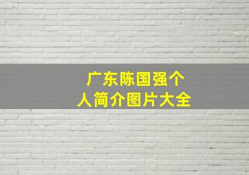 广东陈国强个人简介图片大全