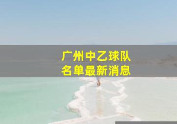 广州中乙球队名单最新消息