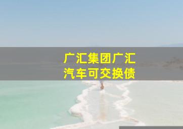 广汇集团广汇汽车可交换债