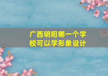 广西明阳哪一个学校可以学形象设计