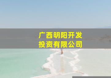 广西明阳开发投资有限公司