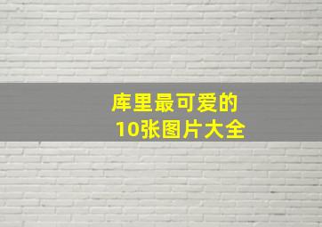 库里最可爱的10张图片大全