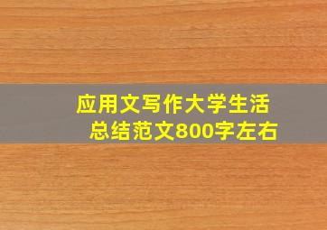 应用文写作大学生活总结范文800字左右