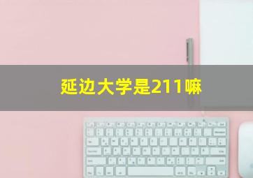 延边大学是211嘛