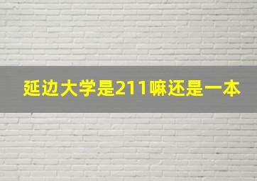 延边大学是211嘛还是一本