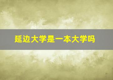 延边大学是一本大学吗