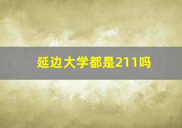 延边大学都是211吗