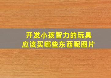 开发小孩智力的玩具应该买哪些东西呢图片