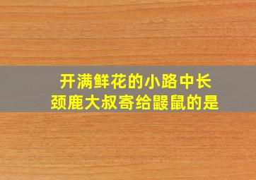 开满鲜花的小路中长颈鹿大叔寄给鼹鼠的是