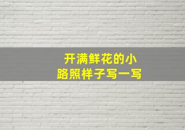 开满鲜花的小路照样子写一写