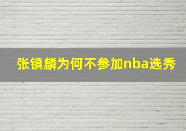 张镇麟为何不参加nba选秀