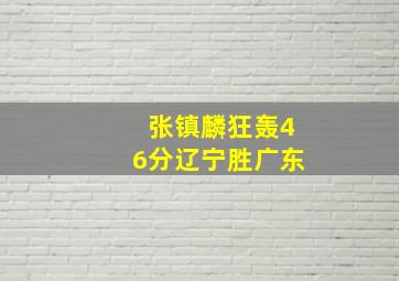 张镇麟狂轰46分辽宁胜广东