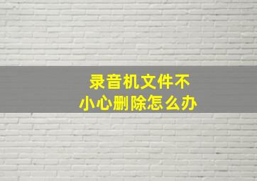 录音机文件不小心删除怎么办