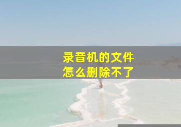 录音机的文件怎么删除不了