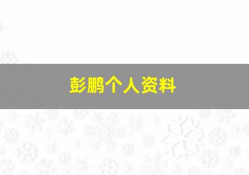 彭鹏个人资料