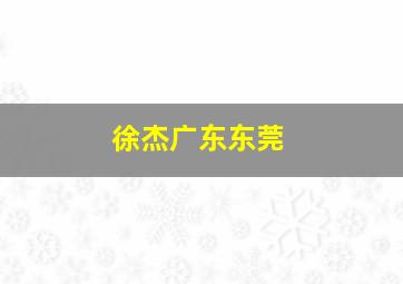 徐杰广东东莞