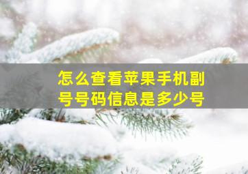 怎么查看苹果手机副号号码信息是多少号