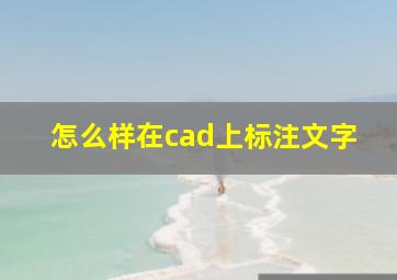 怎么样在cad上标注文字