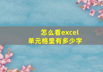 怎么看excel单元格里有多少字