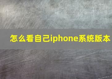 怎么看自己iphone系统版本