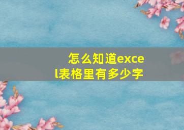 怎么知道excel表格里有多少字