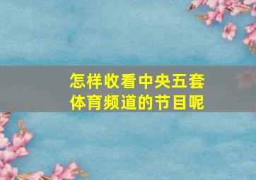 怎样收看中央五套体育频道的节目呢